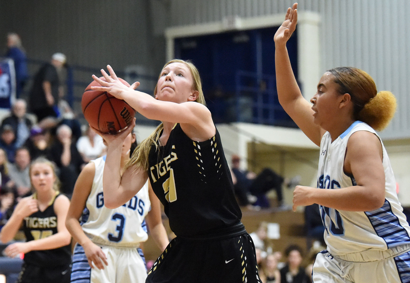 PHOTOS: Widefield Gladiators (19) Canon City Tigers (38)